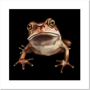 Brown Frog, Tropical Animal, Love Frogs Posters and Art